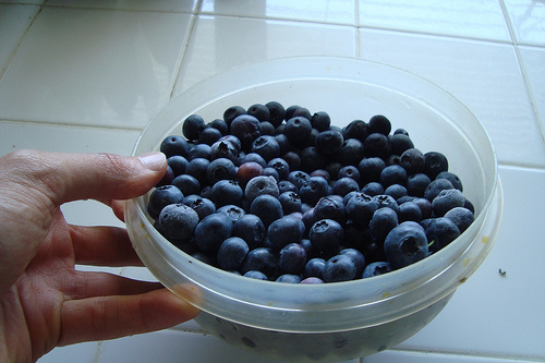 Day 356: Brought Containers to Farmers Market