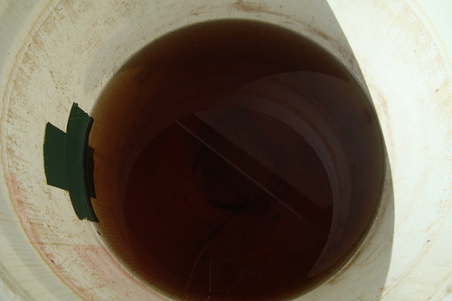 Day 357: Brewed Up Cow Manure Tea to Use in Garden